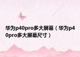 华为p40pro多大屏幕（华为p40pro多大屏幕尺寸）