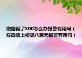 微信骗了800怎么办报警有用吗（在微信上被骗八百元报警有用吗）