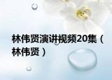 林伟贤演讲视频20集（林伟贤）