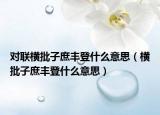 对联横批子庶丰登什么意思（横批子庶丰登什么意思）