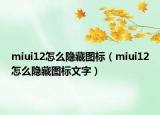 miui12怎么隐藏图标（miui12怎么隐藏图标文字）