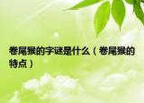 卷尾猴的字谜是什么（卷尾猴的特点）