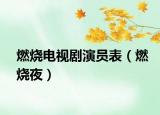燃烧电视剧演员表（燃烧夜）