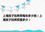 上海孩子抚养费每年多少钱（上海孩子抚养费是多少）
