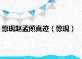 惊现赵孟頫真迹（惊现）