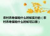 农村养老保险什么时候实行的（农村养老保险什么时候可以领）