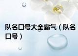 队名口号大全霸气（队名口号）