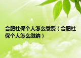 合肥社保个人怎么缴费（合肥社保个人怎么缴纳）