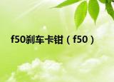 f50刹车卡钳（f50）