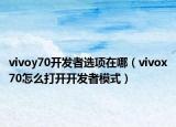 vivoy70开发者选项在哪（vivox70怎么打开开发者模式）