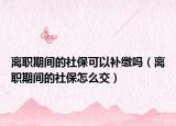 离职期间的社保可以补缴吗（离职期间的社保怎么交）
