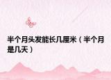 半个月头发能长几厘米（半个月是几天）