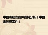 中国毒胶囊案件案例分析（中国毒胶囊案件）