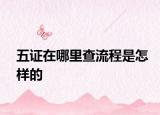 五证在哪里查流程是怎样的