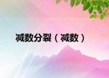 减数分裂（减数）
