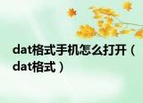 dat格式手机怎么打开（dat格式）