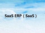 SaaS ERP（SaaS）