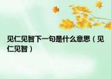 见仁见智下一句是什么意思（见仁见智）