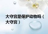 大守宫是保护动物吗（大守宫）