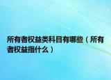 所有者权益类科目有哪些（所有者权益指什么）