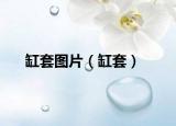 缸套图片（缸套）