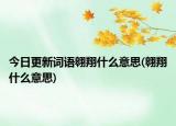 今日更新词语翱翔什么意思(翱翔什么意思)