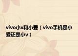 vivo小v和小爱（vivo手机是小爱还是小v）