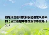 舰娘原型舰和复制舰的设定从哪来的（空想舰娘中的企业号原型是什么）