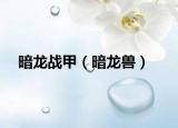 暗龙战甲（暗龙兽）