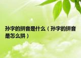 孙字的拼音是什么（孙字的拼音是怎么拼）