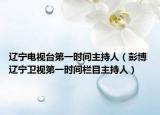 辽宁电视台第一时间主持人（彭博 辽宁卫视第一时间栏目主持人）