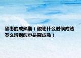 酸枣的成熟期（酸枣什么时候成熟 怎么辨别酸枣是否成熟）