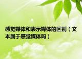 感觉媒体和表示媒体的区别（文本属于感觉媒体吗）