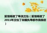 爱情睡醒了导演沈怡（爱情睡醒了 2011年沈怡丁仰国执导都市偶像剧）