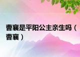 曹襄是平阳公主亲生吗（曹襄）