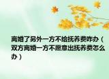 离婚了另外一方不给抚养费咋办（双方离婚一方不愿意出抚养费怎么办）