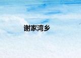 谢家湾乡