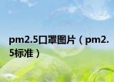 pm2.5口罩图片（pm2.5标准）