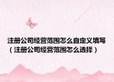 注册公司经营范围怎么自定义填写（注册公司经营范围怎么选择）