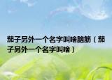 茄子另外一个名字叫啥脑筋（茄子另外一个名字叫啥）