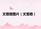 文曾路图片（文曾路）