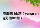 素颜霜 bb霜（yangsang无瑕BB霜）