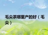 毛尖茶哪里产的好（毛尖）