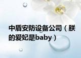 中盾安防设备公司（朕的爱妃是baby）