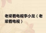 老梁看电视李小龙（老梁看电视）