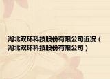 湖北双环科技股份有限公司近况（湖北双环科技股份有限公司）