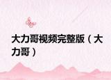 大力哥视频完整版（大力哥）