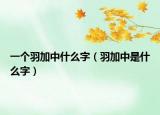 一个羽加中什么字（羽加中是什么字）