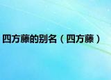 四方藤的别名（四方藤）