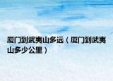厦门到武夷山多远（厦门到武夷山多少公里）